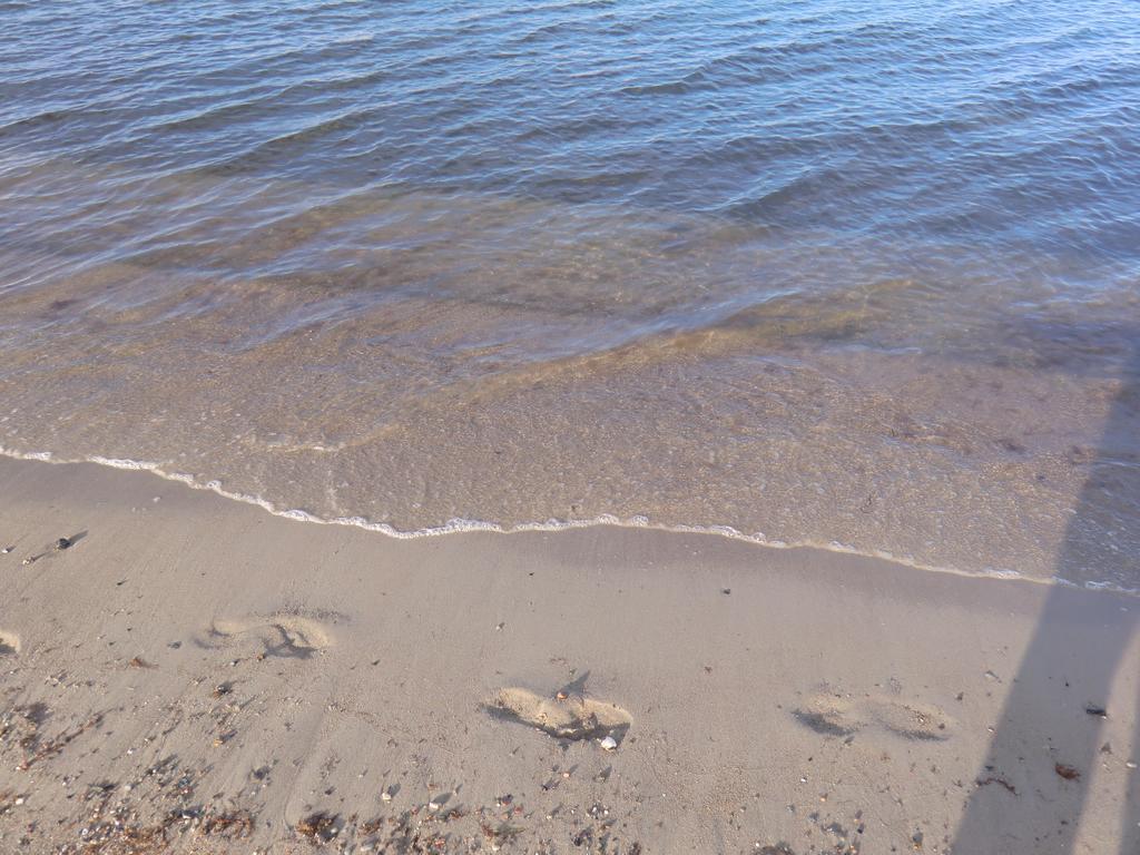 Boeltser Hus Ferienwohnungen Mit Strandkorb Und Kamin 10 Gehminuten Zum Kurtaxefreien Sandstrand Kraksdorf Exterior photo